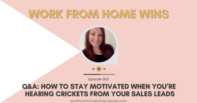 Q&A: How to Stay Motivated When You’re Hearing Crickets from Your Sales Leads – 003